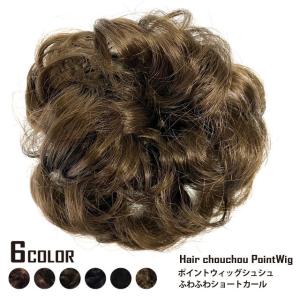 ポイントウィッグ レディース 簡単 ヘアアレンジ 卒業式 入学式 結婚式