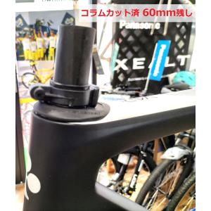 アウトレット新品 処分特価 COLNAGO V...の詳細画像3