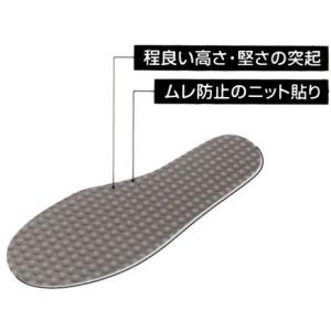 不動化学 【2603】リフレッシュインソール ...の詳細画像1