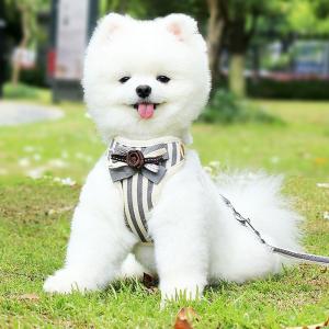 犬ハーネスリード おしゃれな犬服付きセット 犬...の詳細画像1