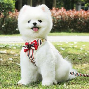 犬ハーネスリード おしゃれな犬服付きセット 犬...の詳細画像2