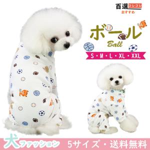 ペットハウス ラタン 犬小屋 籐家具 幅45cm （ ラタン