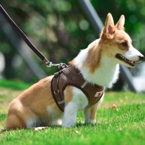 犬 ハーネスリード 背中開き 着せやすい おし...の詳細画像2