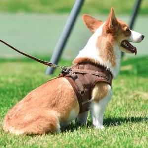 犬 ハーネスリード 背中開き 着せやすい おし...の詳細画像3
