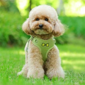 犬 ハーネスリードセット おしゃれな 中型犬小...の詳細画像2