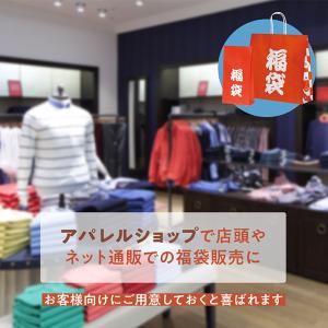 ポイント5倍とクーポン 福袋用紙袋 自動手提袋...の詳細画像2