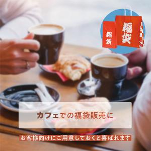 ポイント5倍とクーポン 福袋用紙袋 自動手提袋...の詳細画像5