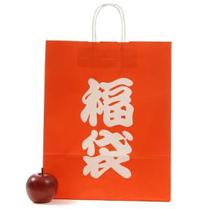 ポイント5倍とクーポン 福袋用紙袋 自動手提袋...の詳細画像1
