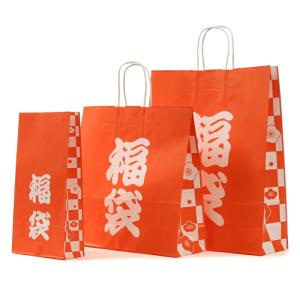 ポイント5倍とクーポン 福袋用紙袋 自動手提袋...の詳細画像5