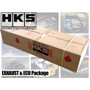 HKS（エッチケーエス） (在庫あります) HKS GT II 8262 KAI スポーツ