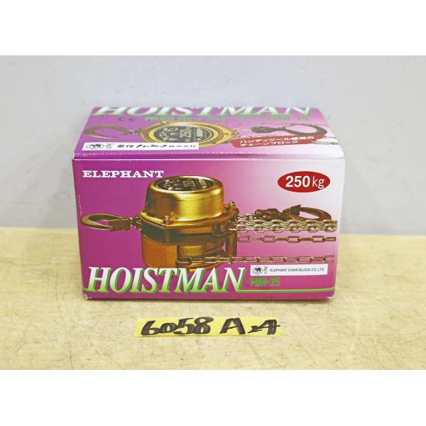 6058A24 未使用  ELEPHANT 象印チェーンブロック ホイストマン HM-25 250k...