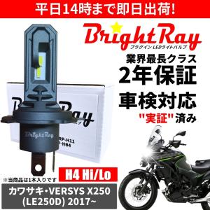 BrightRay(ブライトレイ) スズキ GSR250 GSR250F GSR250S GJ55D LED