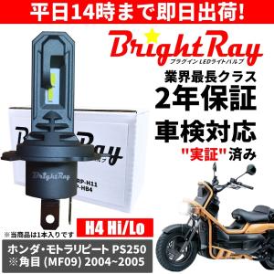 BrightRay(ブライトレイ) ホンダ レブル250 レブル500 REBEL MC49 PC60