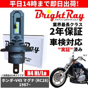 BrightRay(ブライトレイ) カワサキ ZZR1100 ZXT10D LED ヘッドライト