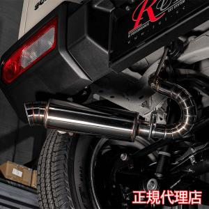 RUI(アールユーアイ)　ホンダシビックタイプR(FL5)センターパイプ 代引不可】アールユーアイ RUI ホンダ シビック(FL5) センターパイプ