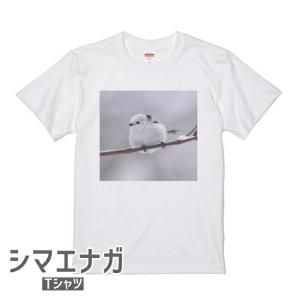 シマエナガ Tシャツ 世界の野鳥シリーズ ＃1  小鳥 ことり グッズ 雑貨 エナガ シマエナガちゃん 野鳥 雪の妖精 北海道 プレゼント ギフト 鳥好き