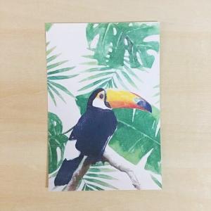 オニオオハシ グッズの商品一覧 通販 Yahoo ショッピング