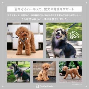 犬 ハーネス 小型犬 中型犬 脱げない 喉に優...の詳細画像1