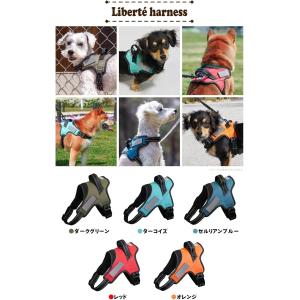 犬 ハーネス 小型犬 中型犬 脱げない 喉に優...の詳細画像2
