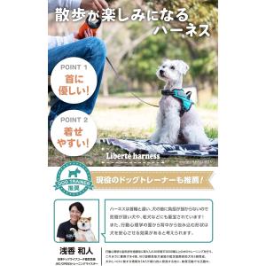 犬 ハーネス 小型犬 中型犬 脱げない 喉に優...の詳細画像3