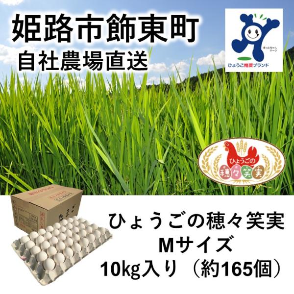 「藤橋商店」自社農場直送 ひょうごの穂々笑実Mサイズ10Kg入り（約165個）卵かけご飯に最適（チル...