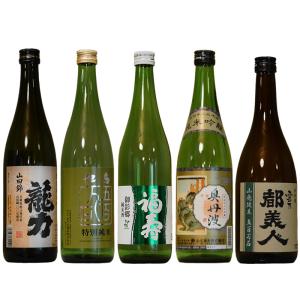 「ひょうごふるさと館」神戸酒類販売 兵庫五国 個性派揃い純米酒セット（912-318）