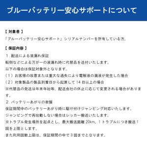 【在庫有・ブルーバッテリー安心サポート付】パナ...の詳細画像4