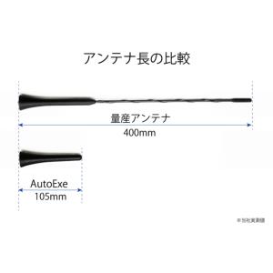 オートエグゼ(AUTOEXE) ヘリカルショー...の詳細画像3