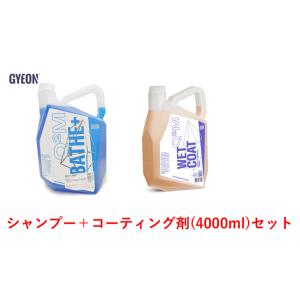 GYEON（ジーオン） メンテナンスシャンプー+コーティング剤セット