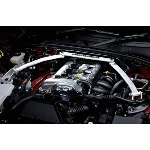 オートエクゼ オートエグゼ(AUTOEXE) スポーツインダクションボックス