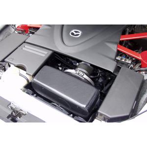 オートエグゼ(AUTOEXE) ラムエアインテークアップグレードキット/RX-8/ SEA2V590...