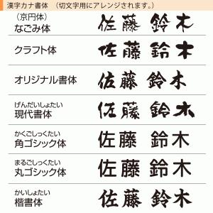 FCC-2-3 フェリーチェ 切文字 品質の良...の詳細画像5
