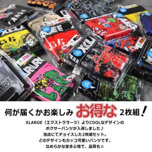 X-LARGE XLARGE エクストララージ...の詳細画像2