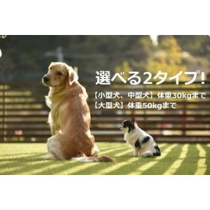 【安全な犬の散歩】犬 リード 5m LED照明...の詳細画像3