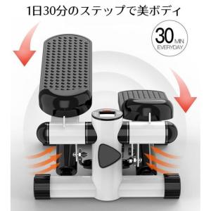お得セット ステッパー ミニ ステッパー パワ...の詳細画像1