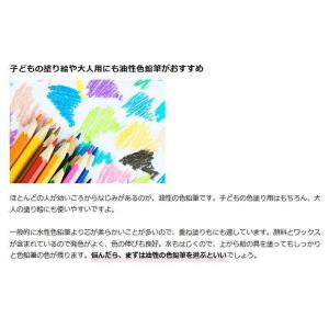 圧巻の180色 プロ仕様 油性色鉛筆 色鉛筆 ...の詳細画像3