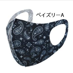 【魅せるマスク】マスク カラーマスク ペイズリ...の詳細画像1
