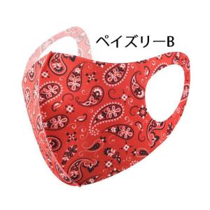 【魅せるマスク】マスク カラーマスク ペイズリ...の詳細画像2