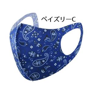 【魅せるマスク】マスク カラーマスク ペイズリ...の詳細画像3