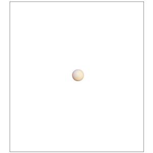 TAKASUE 小さい ピンポン玉 27mm 白色 卓球 娯楽用 50個 t-sball-51w｜hyper-market