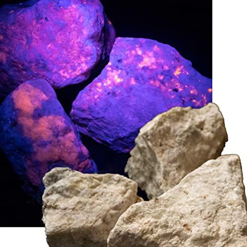 SCIENCE ミニ鉱物標本 蛍光鉱物「ハックマン石（ハックマナイト）Hackmanite 産地：C...