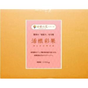 驚異の根張りを実現する液体肥料・発根剤活根彩果(カッコンサイカ)【10kg】