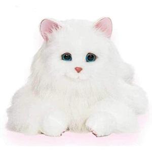 セガトイズ 夢ねこプレミアム ねこペットロボット ぬいぐるみ : East