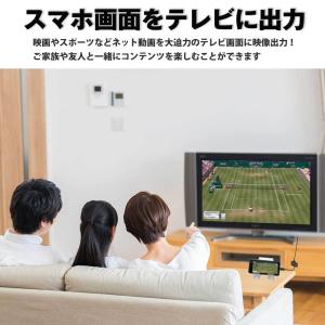 Hy+ Type-C to HDMI 変換アダ...の詳細画像3