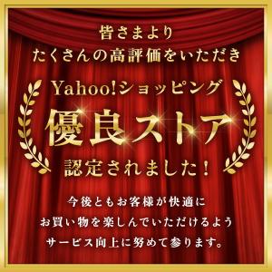 耳かき カメラ iphone対応 カメラ付き耳...の詳細画像1