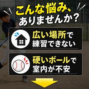 野球 バッティング 練習 穴あきボール 柔らか...の詳細画像2