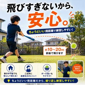 野球 バッティング 練習 穴あきボール 柔らか...の詳細画像5