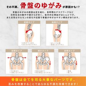 腰痛ベルト コルセット 骨盤ベルト 滑車 ベル...の詳細画像4