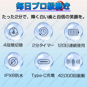 【高性能】電動歯ブラシ 音波歯ブラシ 高速振動...の詳細画像1