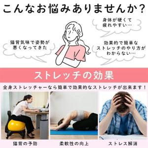 健康器具 腹筋器具 ストレッチ 背中 ストレッ...の詳細画像2